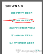 【自建(jian)撥号】IP代(dai)理(li)SSTP連接設(shè)置教程(cheng)